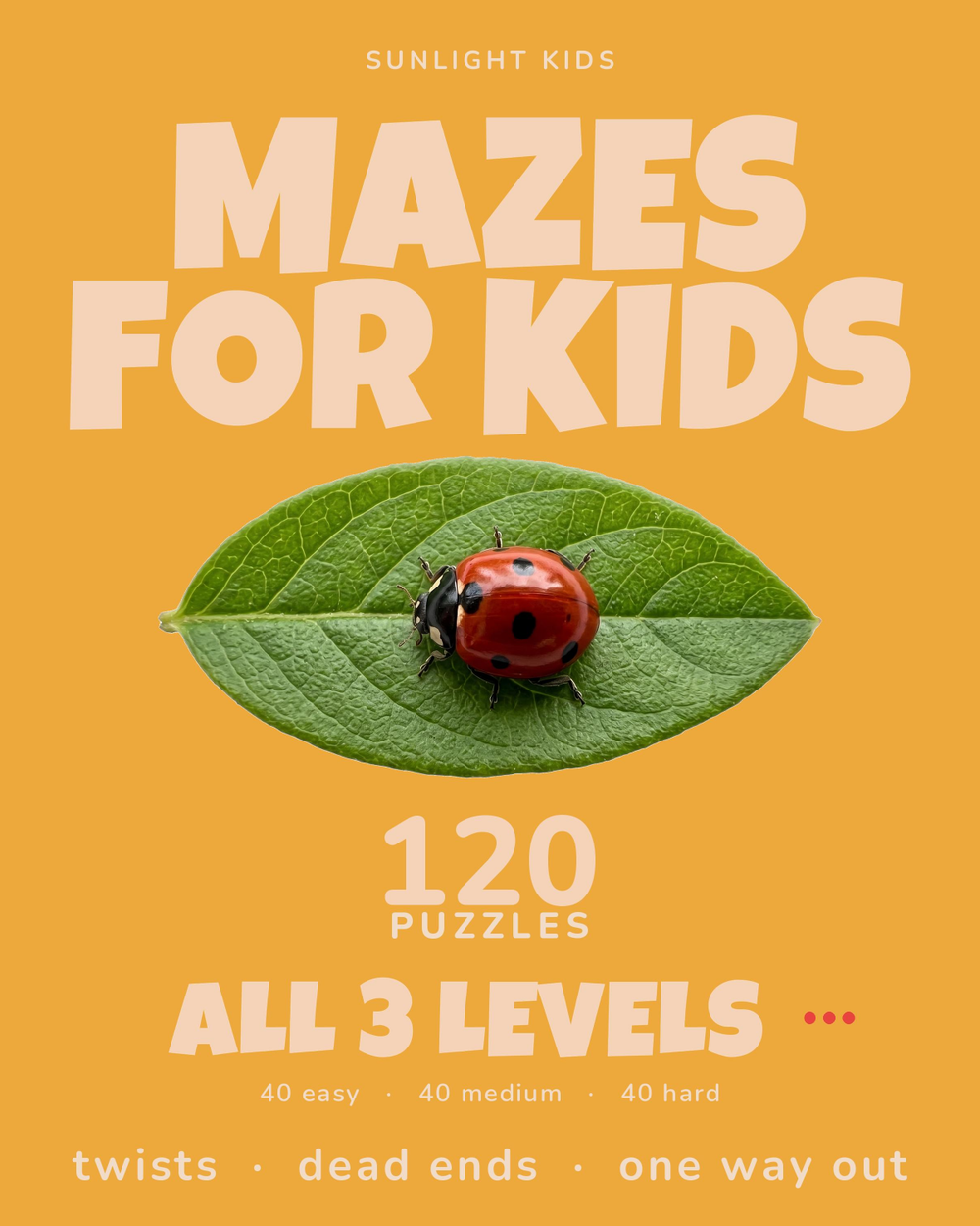 Mazes for Kids: Easy, Medium & Hard cover