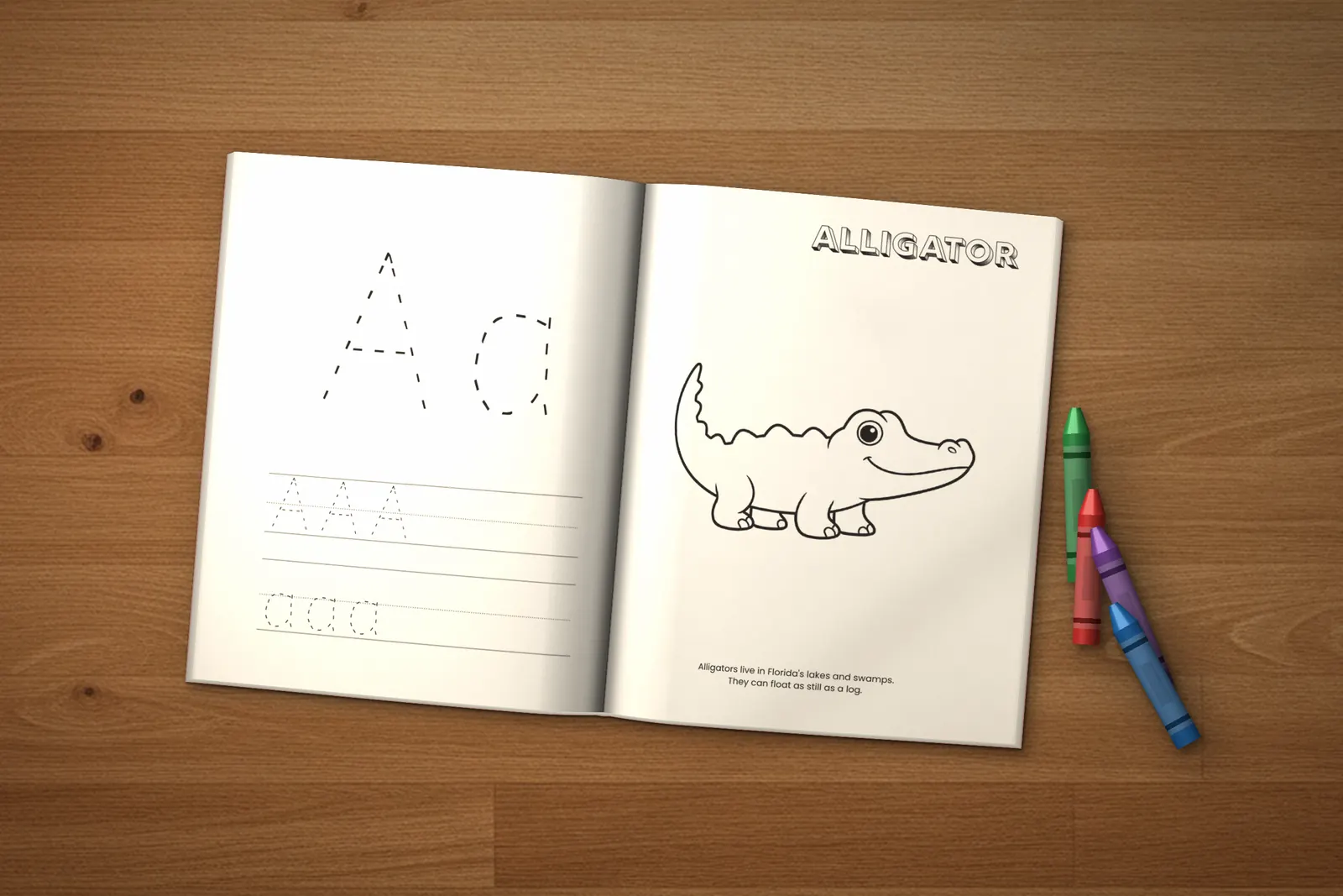 Orlando Activity Book for Kids (ages 2-5) lying open on a wooden table, showing a letter A tracing page and an Alligator coloring page, with crayons beside it